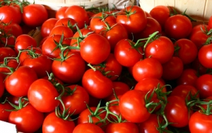 Photo of Tomatoes